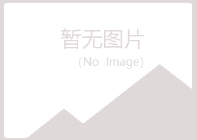 铜川书翠化学有限公司